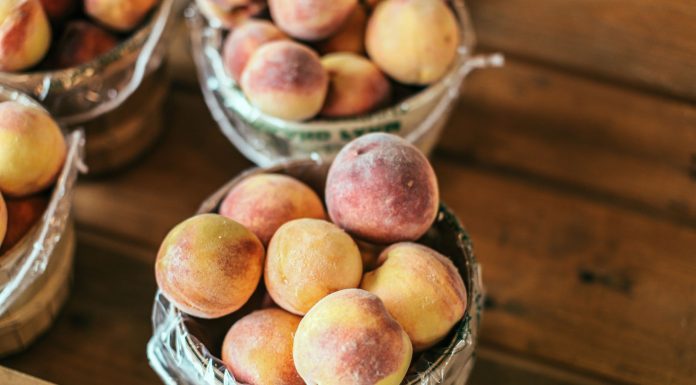 A collection of fresh peaches stacked in baskets, highlighting their juicy appeal and rustic setup.
