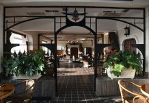 Charming boutique café with lush plants and refined décor creating a welcoming atmosphere.