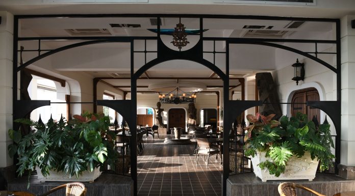 Charming boutique café with lush plants and refined décor creating a welcoming atmosphere.