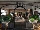 Charming boutique café with lush plants and refined décor creating a welcoming atmosphere.