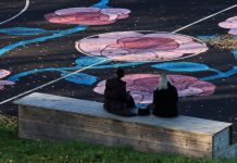 Two women sit on a bench facing a sports field with colorful floral designs in Jönköping, Sweden.