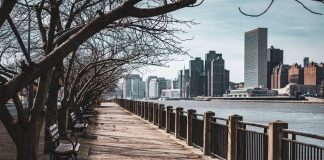 Bare trees line a waterfront walkway in New York City, with skyscrapers in the background.