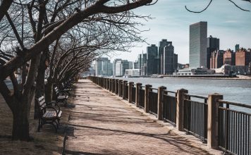 Bare trees line a waterfront walkway in New York City, with skyscrapers in the background.