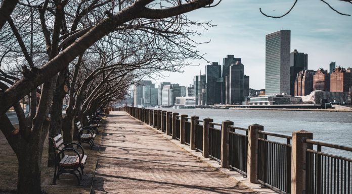 Bare trees line a waterfront walkway in New York City, with skyscrapers in the background.