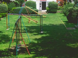 Vibrant outdoor playground with swings and slides in a lush green park setting under a bright sky.