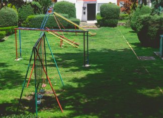 Vibrant outdoor playground with swings and slides in a lush green park setting under a bright sky.