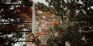 A basketball hoop set against a backdrop of autumn foliage and city architecture in New York, capturing urban life.