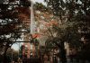 Best Schools in West New York for 2026: A Local Parent’s Guide A basketball hoop set against a backdrop of autumn foliage and city architecture in New York, capturing urban life.