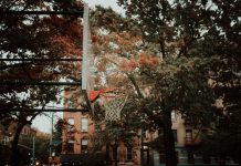 A basketball hoop set against a backdrop of autumn foliage and city architecture in New York, capturing urban life.