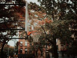 A basketball hoop set against a backdrop of autumn foliage and city architecture in New York, capturing urban life.