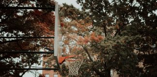 A basketball hoop set against a backdrop of autumn foliage and city architecture in New York, capturing urban life.