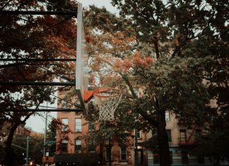Best Schools in West New York for 2026: A Local Parent’s Guide A basketball hoop set against a backdrop of autumn foliage and city architecture in New York, capturing urban life.