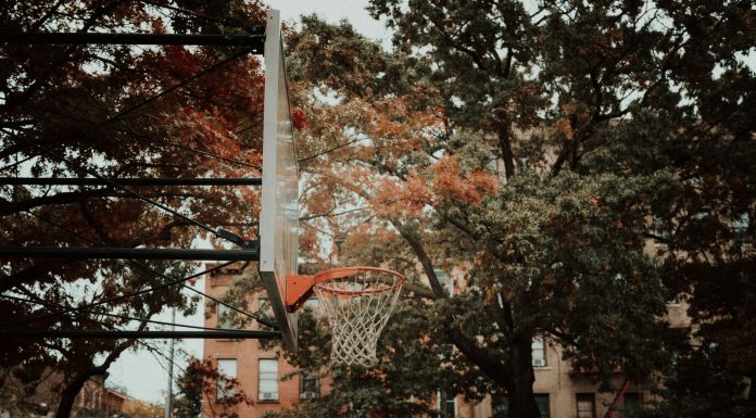Best Schools in West New York for 2026: A Local Parent’s Guide A basketball hoop set against a backdrop of autumn foliage and city architecture in New York, capturing urban life.