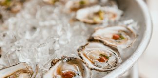 BREAKING: Bembe Steak & Raw Bar Soft Opens on Newark Avenue Close-up of fresh oysters served on a bed of crushed ice, perfect for seafood lovers.
