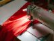 BREAKING: New York Sewing Center to Open Jersey City Location Close-up of an industrial sewing machine stitching bright red fabric, highlighted under a spotlight.