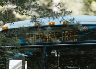 A public bus with a digital sign indicating Sherman Tree destination, amidst greenery.