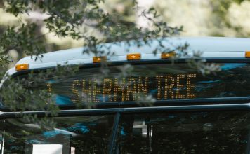 A public bus with a digital sign indicating Sherman Tree destination, amidst greenery.