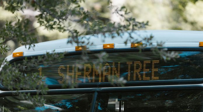 A public bus with a digital sign indicating Sherman Tree destination, amidst greenery.