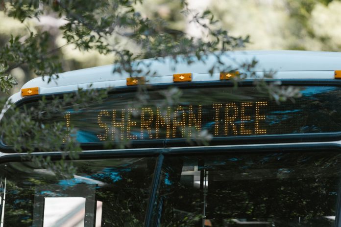 A public bus with a digital sign indicating Sherman Tree destination, amidst greenery.