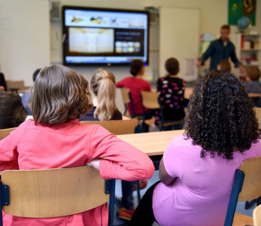 Students attentively watching a lesson on a smart board in a colorful Dutch classroom.