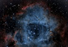 Daily horoscope by Diana Tercer Cielo