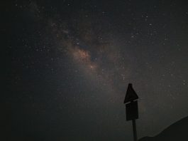 Daily horoscope by Diana Tercer Cielo