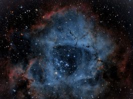 Daily horoscope by Diana Tercer Cielo