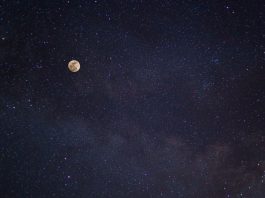 Daily horoscope by Diana Tercer Cielo