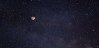 Daily horoscope by Diana Tercer Cielo