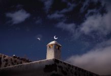 Daily horoscope by Diana Tercer Cielo