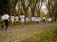 A group of kids participating in a running event in a leafy park in Bursa, Türkiye.