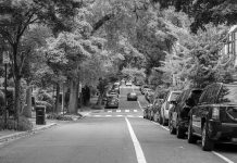 Black and white street scene with parked cars and lush trees lining the road.