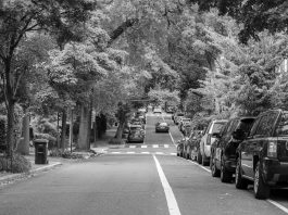 Lafayette Residents Warm to Revised Parking Permit Plan, Ask for More Black and white street scene with parked cars and lush trees lining the road.