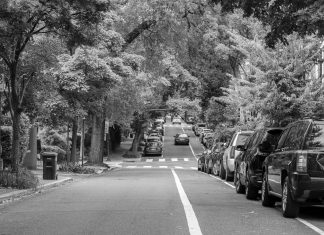 Black and white street scene with parked cars and lush trees lining the road.