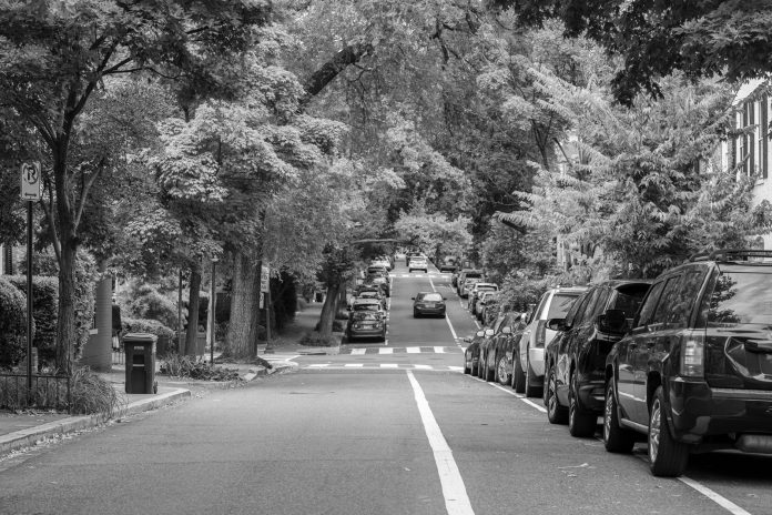 Black and white street scene with parked cars and lush trees lining the road.