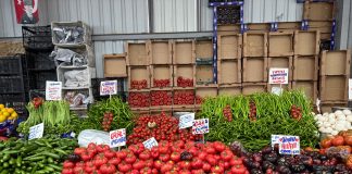 Fresh produce at a bustling Istanbul market showcasing tomatoes, peppers, and more.
