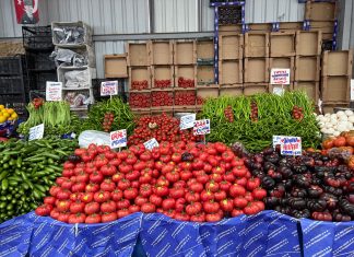 ÚLTIMA HORA: Hoboken celebra festival del tomate con degustaciones gratis Fresh produce at a bustling Istanbul market showcasing tomatoes, peppers, and more.