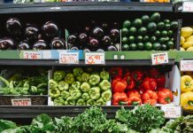 Colorful assortment of vegetables on display in a supermarket, featuring peppers, eggplants, and squash.