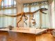 Allosaurus skeleton displayed in a museum with natural lighting.