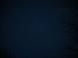 Daily horoscope by Diana Tercer Cielo
