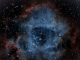 Daily horoscope by Diana Tercer Cielo