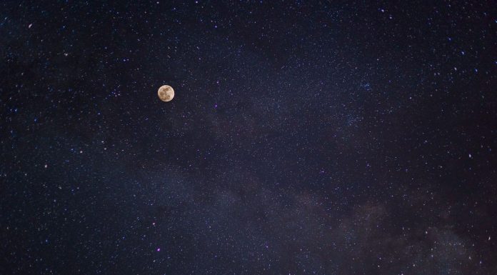 Daily horoscope by Diana Tercer Cielo