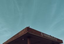 A lone bird perches on a weathered gas station canopy against a serene sky.