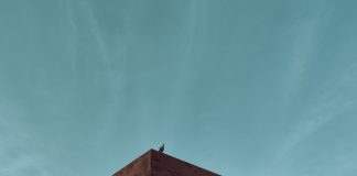 A lone bird perches on a weathered gas station canopy against a serene sky.