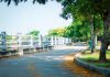 Peaceful walkway through vibrant green trees in summer, ideal for scenic strolls and relaxation.