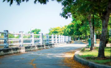 Peaceful walkway through vibrant green trees in summer, ideal for scenic strolls and relaxation.
