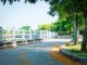 Peaceful walkway through vibrant green trees in summer, ideal for scenic strolls and relaxation.