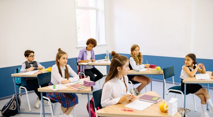Students learning in a bright, diverse classroom setting, engaged and attentive.
