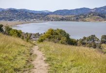 Peaceful path through grassy hills with a serene lake view on a sunny day.