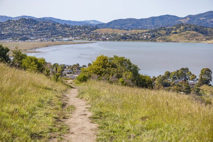 Peaceful path through grassy hills with a serene lake view on a sunny day.